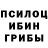 Псилоцибиновые грибы мицелий Big Ahk