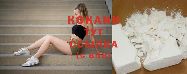 спиды Алзамай