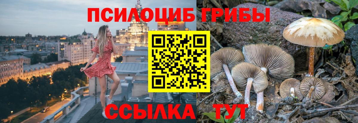 Галлюциногенные грибы Psilocybe  Галлюциногенные грибы MAGIC MUSHROOMS  Кольчугино  Вход с VPN 