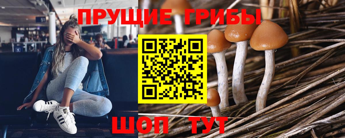 Галлюциногенные грибы мицелий Кольчугино