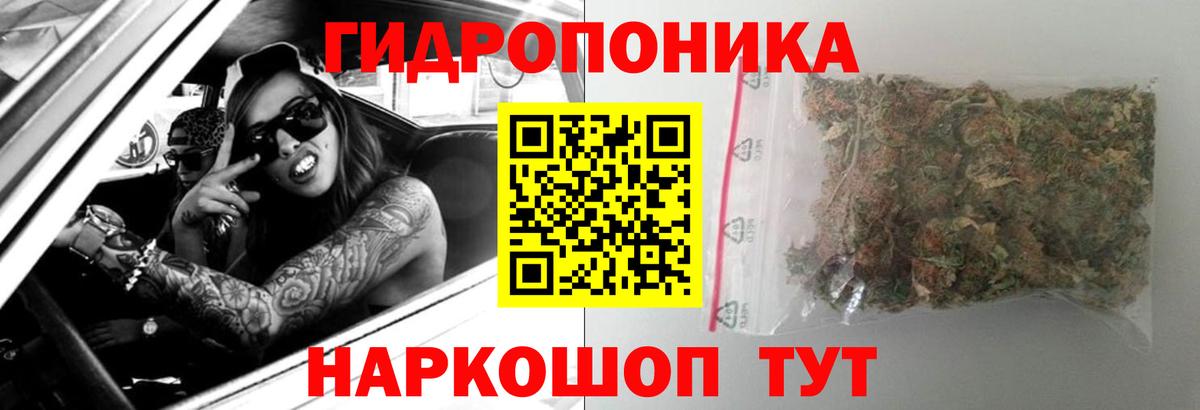 Шишки марихуана гибрид Кольчугино